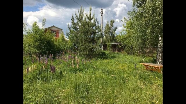 Дача СНТ Берёзка, у деревни Чеблоково, Наро-Фоминский район смотреть онлайн