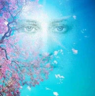 Video 2022.11.19 ВСТРЕЧА С МАКСИМОМ УФОЛОГОМ _АЗЫКИЭИЛ._