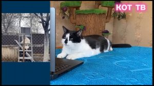 а ну ка давайка вырызыный фрагмент (2024)