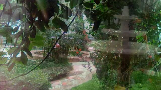 Зимний сад в санатории Строитель. Ижевск смотреть онлайн