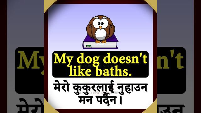 Learn Fluent English Speaking with Grammar | Simple Present Tense | Nepali Meanings Sentences | Eas смотреть онлайн