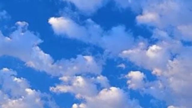 Голубые береты.30.11.2009..wmv смотреть онлайн