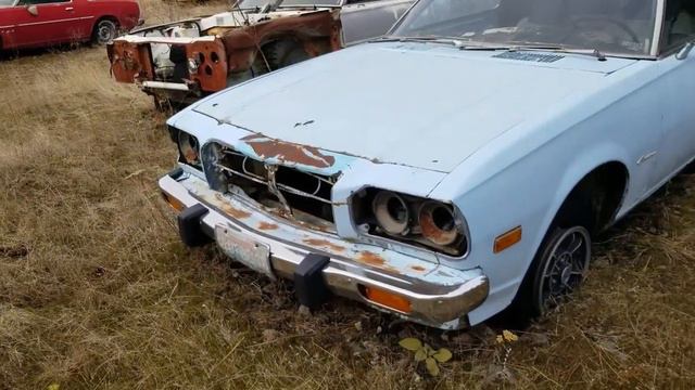 Guy finds SIX Mazda Cosmos in the woods! смотреть онлайн