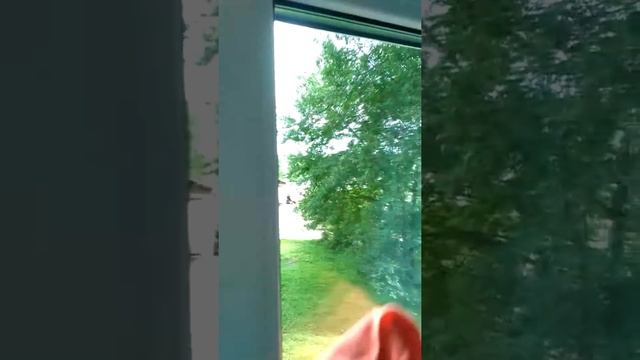 Greenway. Салфетка для стёкол смотреть онлайн