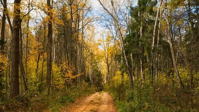 Места подмосковья. смотреть онлайн