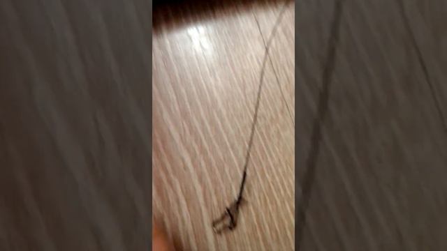 ставлю снасти на удочку смотреть онлайн