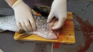 Как подготовить щуку для фарширования? Снять шкурку с щуки чулком.