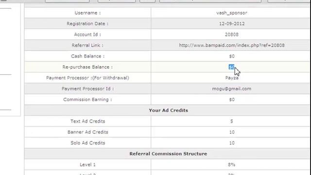 BAM Paid бэк офис - главная страница, статистика смотреть онлайн