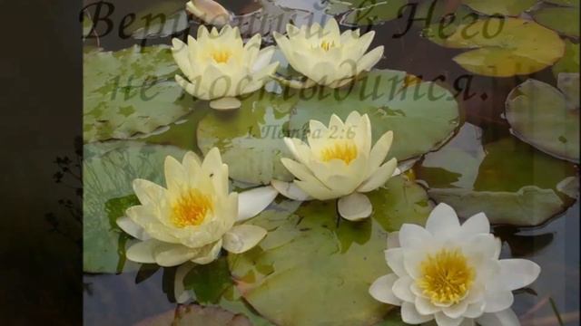 Дуэт "Уральские напевы" - Косари на лугу смотреть онлайн