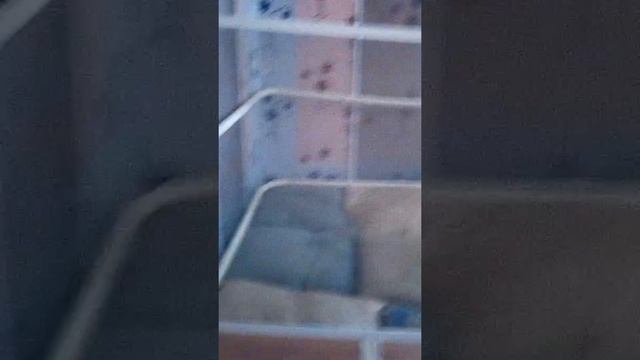 Как правильно построить домик из подушек смотреть онлайн