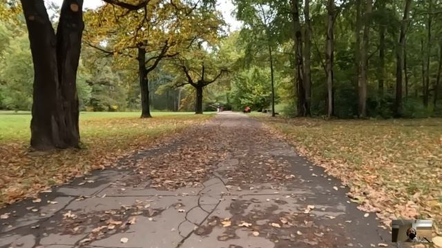 Фельдшер получил странное СМС с просьбой денег… Коллеги крутили у виска, но когда он позвонил туда смотреть онлайн