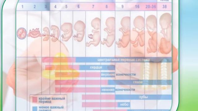 Обучающий курс "Мамина школа" смотреть онлайн