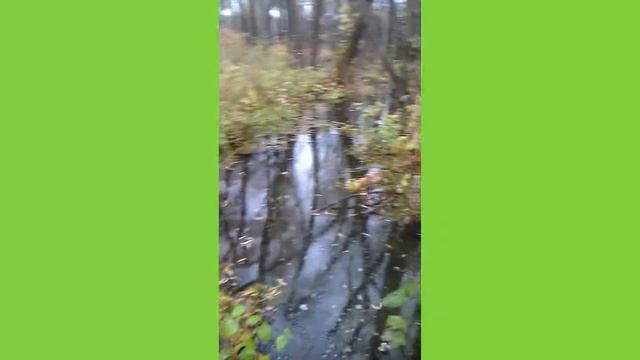 Влог: Поход на плотину бобров #2 смотреть онлайн