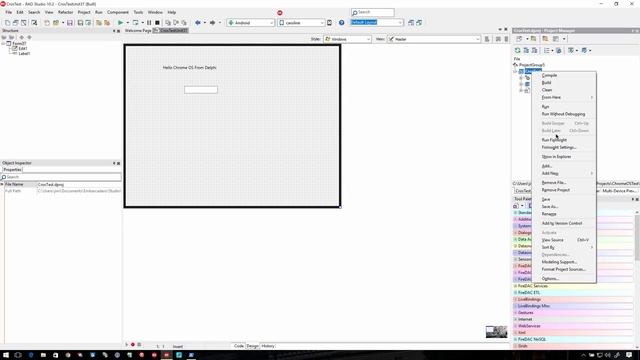 Introduction to Developing for Chrome OS via Android and Linux with Delphi and C++Builder смотреть онлайн