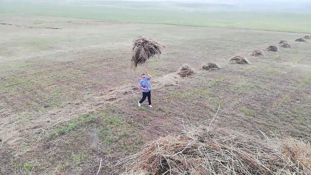 Сенокос смотреть онлайн