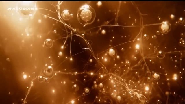 Вибрационная матрица человека смотреть онлайн