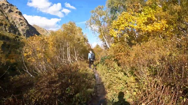 Поход в горы. Бзерпинский карниз. Медведи. Ледник Холодный. #sochi #приключения #пашемспашей #сочи смотреть онлайн