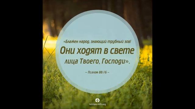 Радиофорум - Тема: профессионализм смотреть онлайн