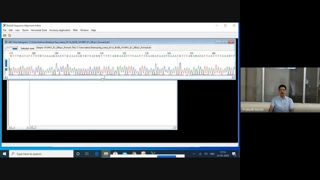 Sequence Editing using BioEdit смотреть онлайн