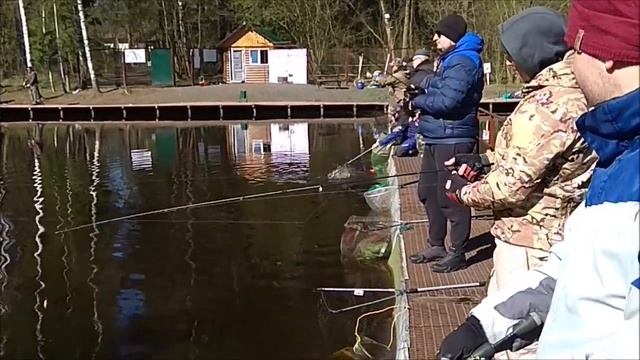 Отличный клёв на запуске, работает вся акватория. Клёвое место, Лосиный остров. смотреть онлайн