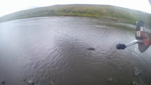 В Воркуту на рыбалку /2022/. ч.1.