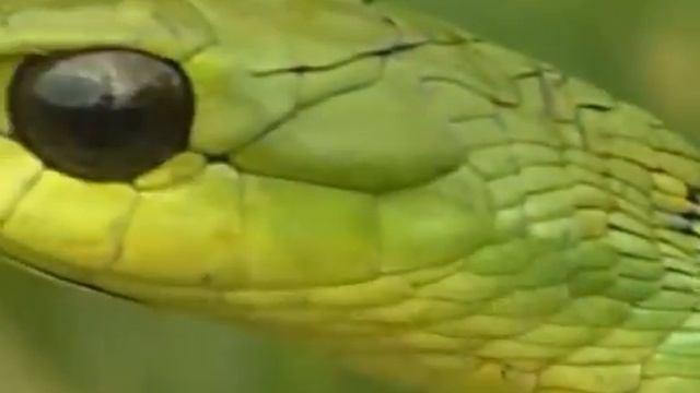 Как всё произошло? смотреть онлайн