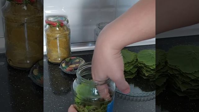 ƏN TEZ ÜSULLA QIŞA NECƏ YARPAĞ BAĞLAYIRAM.HƏLƏ BUNU HEÇ KƏS SINAMAYIB. смотреть онлайн