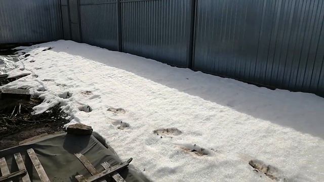 Обзор дачи в весенний период (март, 2020 г.) - от Натальи Ромашки смотреть онлайн