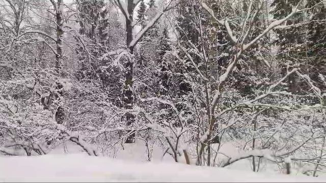 Видео 212 смотреть онлайн