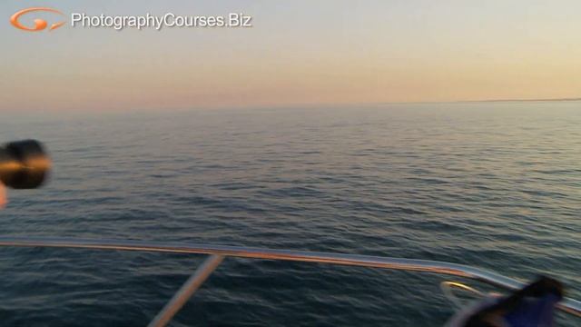 Photography Tips for Whale Watching Pt2 смотреть онлайн