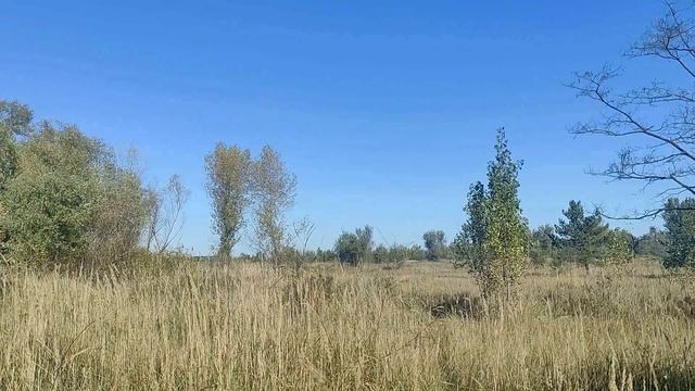 22 ноября народный праздник Матрена Зимняя. Народные приметы и традиции. Запреты дня.