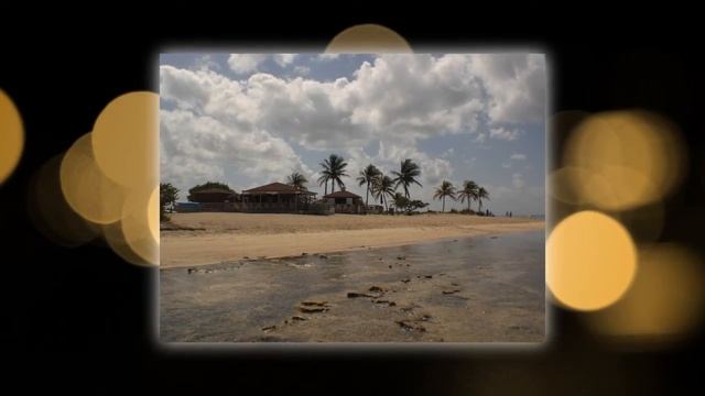 Grand Bahama Eco Tour | Grand Bahama Tours смотреть онлайн