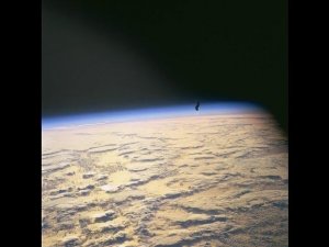 black prince, черный принц