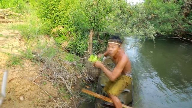 survival in the rainforest Rich fruits at up the hill - He ate sick fruit, apparently delicious смотреть онлайн