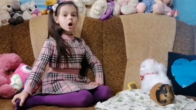 Морская свинка - лучший друг для детей! Интересные факты о морских свинках смотреть онлайн