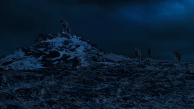 Тотем волка I Wolf Totem (2015) смотреть онлайн