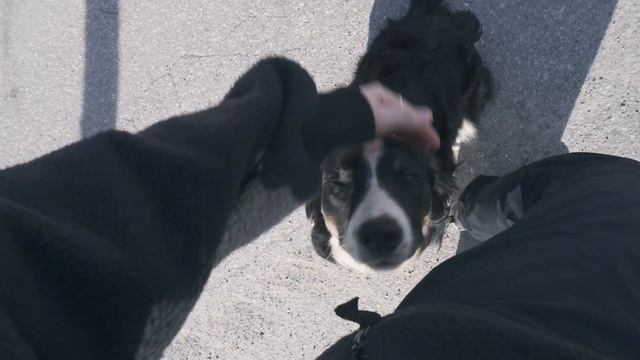 СКОЛЬКО ДЕЙСТВИТЕЛЬНО НУЖНО ЗАПЛАТИТЬ ЧТОБЫ УВИДЕТЬ НОРВЕГИЮ, ПОДРОБНЫЙ МАРШРУТ: ОСЛО, ОДДА, СТРЮН смотреть онлайн