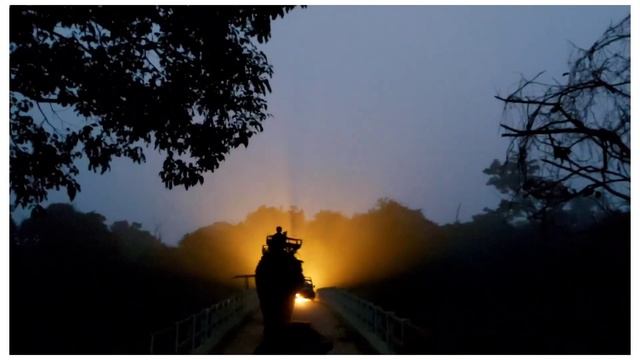 KAZIRANGA VLOG || Kaziranga National Park Tour || Best Places To Visit In Assam