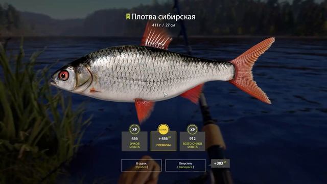 Нижняя тунгуска, плотва сибирская. Русская рыбалка 4. Russian Fishing 4. смотреть онлайн