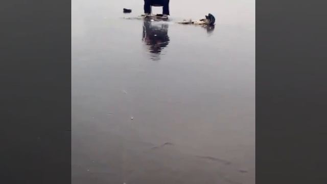 30.11.19г. Камское устье. Клевое местечко. Ледовая обстановка смотреть онлайн