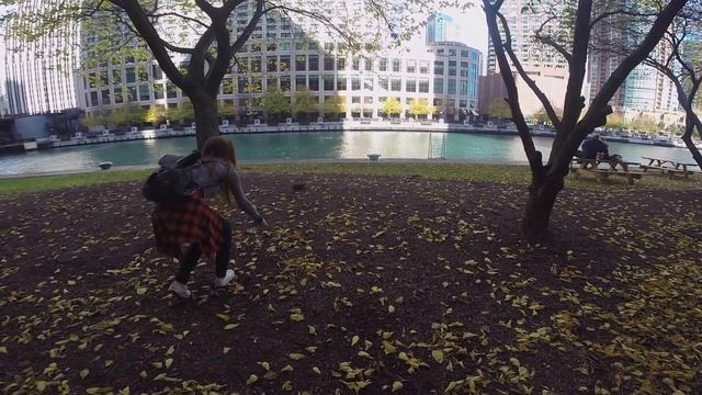 CHICAGO VLOG | Millennium Park | Willis Tower смотреть онлайн
