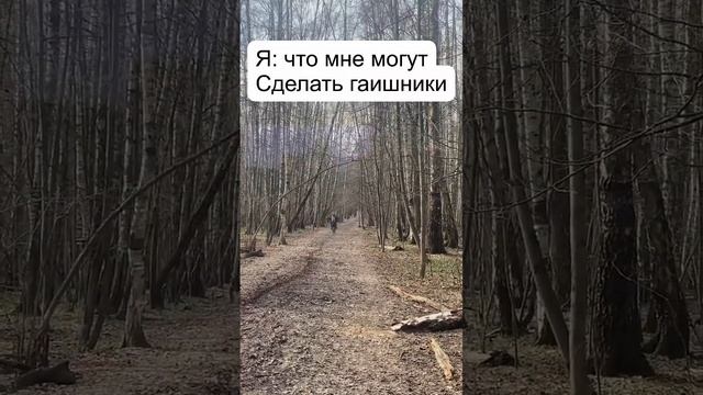 #питбайк #питбайки #питбайкленд #питбайккросс #питбайкер #питбайкмаркет #питбайклэнд #мото #enduro смотреть онлайн