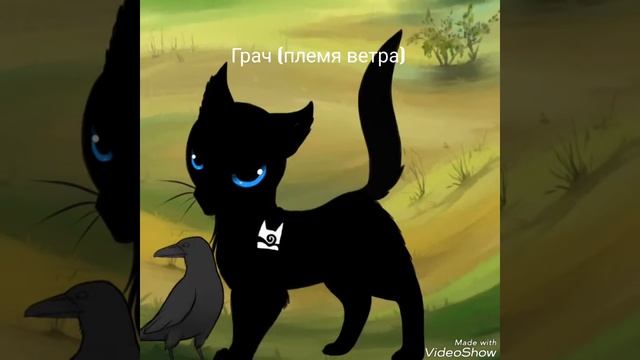 Тест "Угадай кота-воителя" / Как хорошо ты знаешь КВ? / ЧАСТЬ 2 смотреть онлайн