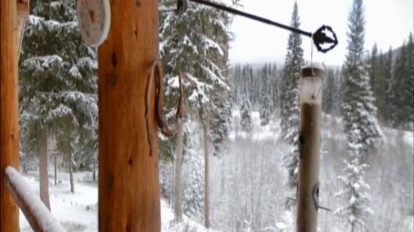 Мужчины в горах -  Разоблачения