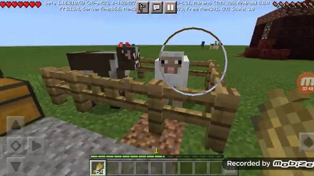 Мои первые животные и моё первое видео... смотреть онлайн