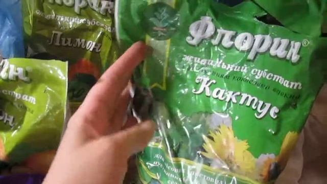 Ревизия имеющихся землесмесей( грунтов ) для запланированных пересадок растений смотреть онлайн