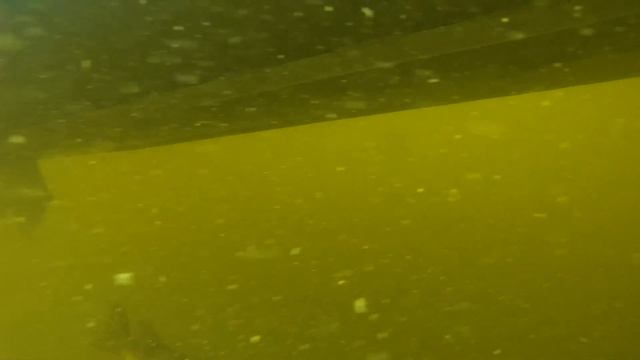 ЛОВЛЯ НА ВИБЫ / T.D. VIBRATION / Алексей Шанин