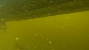 ЛОВЛЯ НА ВИБЫ / T.D. VIBRATION / Алексей Шанин