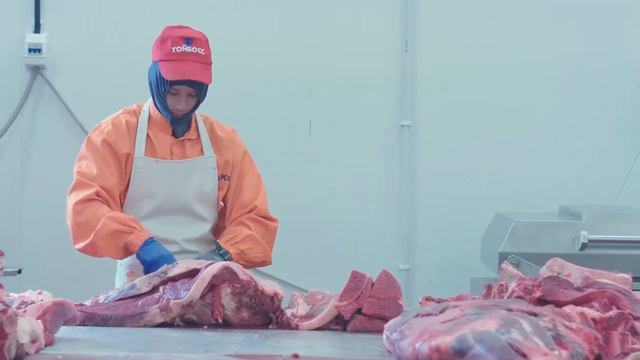 Тойбосс смотреть онлайн