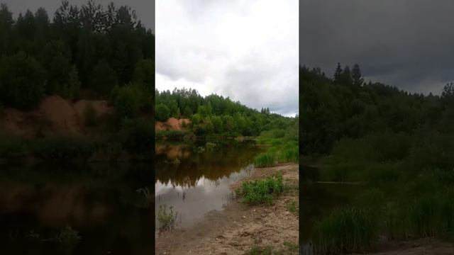 Лесное озеро смотреть онлайн